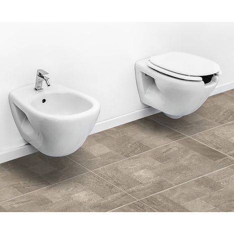 Coppia sanitari sospesi per disabili con apertura frontale e copriwc (1/5)