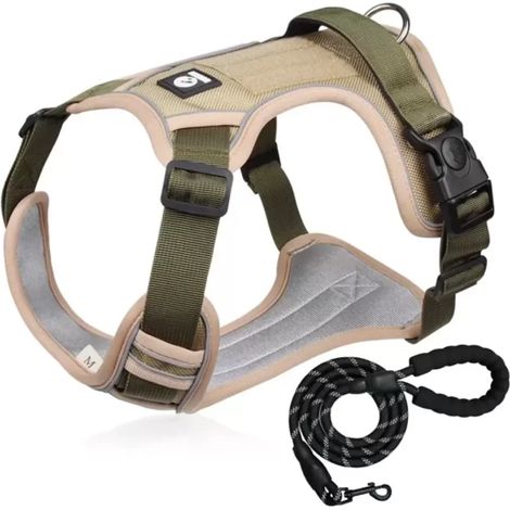 Harnais réfléchissant réglable pour chien avec laisse – Ensemble harnais et laisse de sécurité lumineux pour les promenades nocturnes, confort optimal pour toutes les races de chiens (1/5)