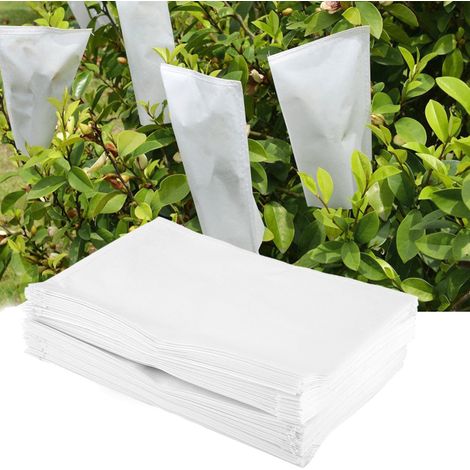 100 sacs de pollinisation en parchemin pour jardin, sacs de protection et d'isolation pour plantes et fleurs, 16 x 10 cm (1/5)