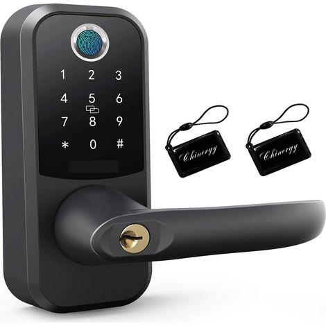 Serrure de porte intelligente Serrure de porte intelligente Bluetooth électronique biométrique empreinte digitale APP porte-clés Alexa poignée serrures d'entrée sans clé for la maison ( Color : Black (1/5)