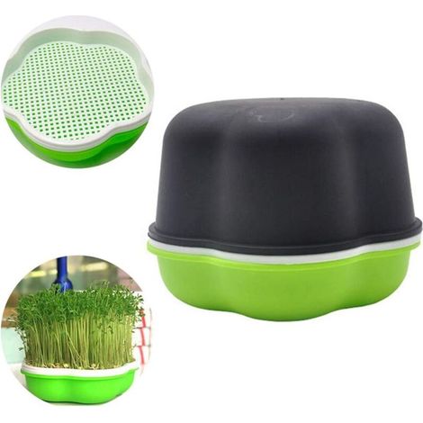 Plateau De Germination De Graines Avec Couvercle, Kit De Germination De Germination De Haricot Sans BPA, Kit De Germination Très Petit Trou, Plateau De Germination Des Plantes, 7.87x5.51 Pouces (1/5)