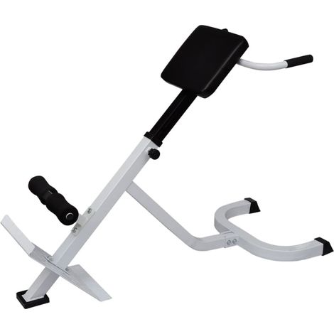 vidaXL Rücken- und Bauchtrainer (1/5)