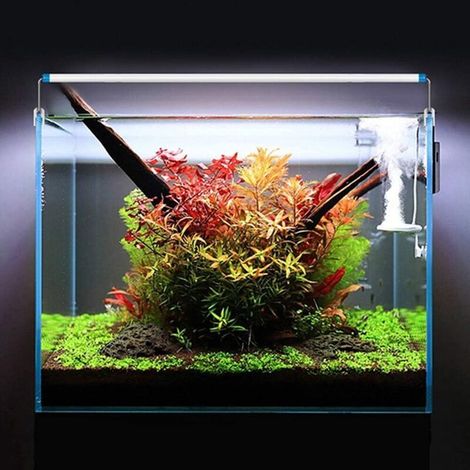Aougo – Plafoniera LED per acquario da 18-58 cm – Illuminazione a spettro completo – Luce bianca e blu – Staffe metalliche regolabili (1/4)