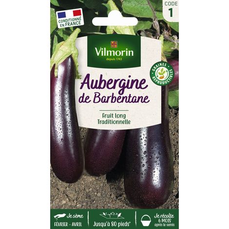 Vilmorin – Aubergine de Barbentane – Graines de potager – Exposition en plein champ – Période de semis : mars à mai – Période de récolte : juillet à septembre (1/5)