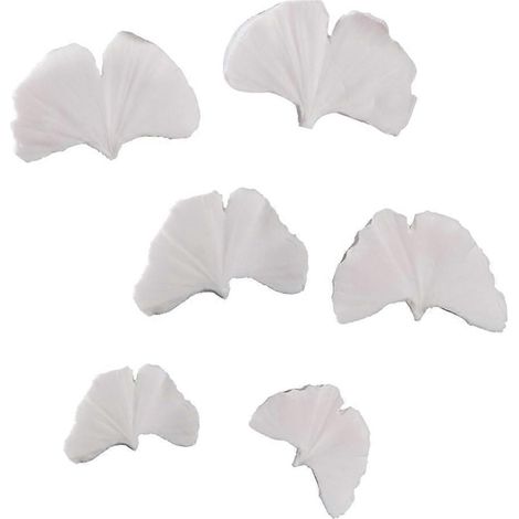 Silikon-Schokoladenformen, 3D-Form, Ginkgo-Biloba-Blattadern (1/5)