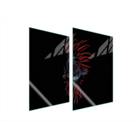 Assiette de protection en verre pour la cuisine 2x35x52 poisson (1/5)