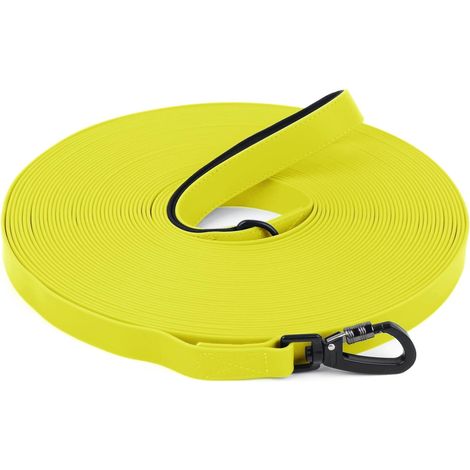 1 - Laisse de Dressage - Longe pour Chien - Imperméable et Résistante - Pour Petits Moyens et Grands Chiens - Noir - 5M (1/5)