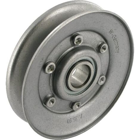 Polea tensora de correa FFAG INA RSRA13129L0L114 (1/3)