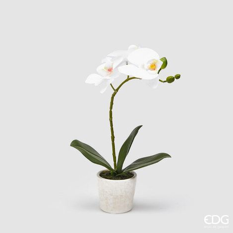 EDG Enzo De Gasperi Orchidea Phalaenopsis Pianta con Vaso Artificiale H 33 Cm White