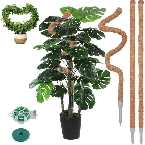 Schaumstoff-Pflanzenstütze (3 Stück) 127 cm (50 Zoll) – Monstera-Pflanzenstütze – Lange Kokosfaser-Pflanzenstütze für Kletterpflanzen – Geeignet für Efeututen, Philodendren und Zimmerpflanzen im Topf (1/5)