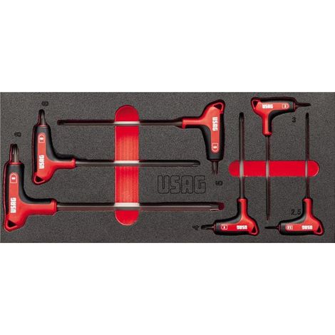Modulo Spugna Bicolore Usag 519 M 280HX con 6 pezzi