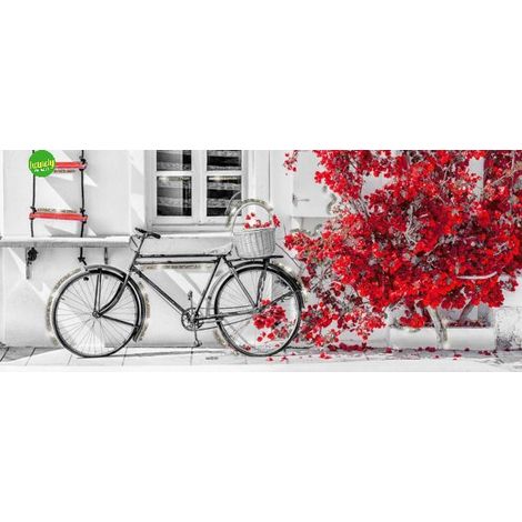 Canvas Brillant Lupia Bike Red 52x122cm
