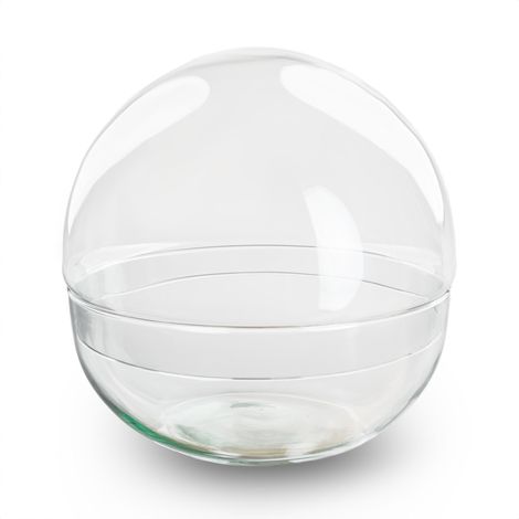 Terrarium en Verre Recyclé Dome pour Écosystème Végétal Design 2 Parties Ø 20 cm x 20 cm - PANGIVO (1/3)