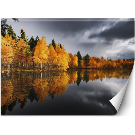 Fototapete Herbstwald am See 100x70 cm (1/5)