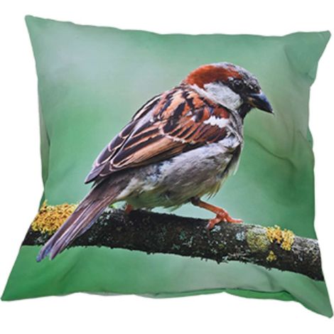 Esschert Design Outdoorkissen S mit Haussperlingmotiv 40 x 40 cm aus Polyester