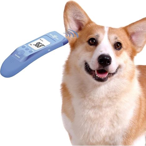Thermomètre sans contact pour animaux de compagnie pour chiens, clinique rapide classique, 3 modes (corps, surface d'objet, pièce), modes corporels pour mesurer avec précision la (1/5)