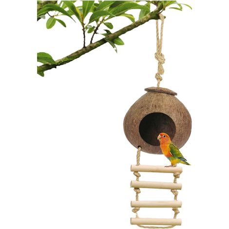Nichoir résistant aux intempéries pour petits oiseaux - Mangeoire naturelle en noix de coco recyclée - Mangeoire pour oiseaux en noix de coco fabriquée à la main - Style échelle. (1/5)