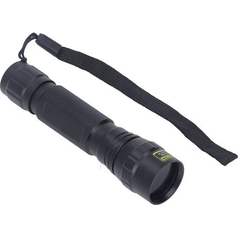 Lampe torche UV à polymérisation, lumière noire 365 nm, 5 W, outil d'inspection portable pour timbres de pièces de monnaie