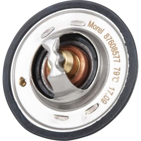 Thermostat NEW HOLLAND 98463638