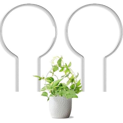 Set mit 2 Kletterstützen aus Acryl für Kletterpflanzen und Ranken (1/4)
