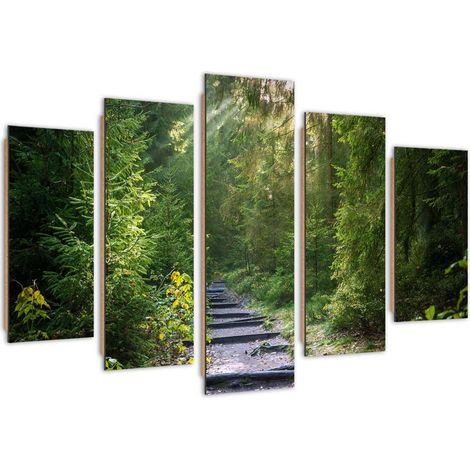 Quadro deco panel 5 parti, Sentiero in una foresta verde - 100x70 (1/5)