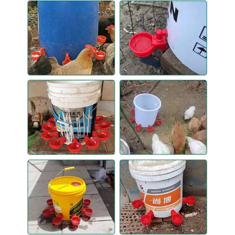 Lot de 5 abreuvoirs bol pour bidon en plastique rouge pour volailles (1/5)