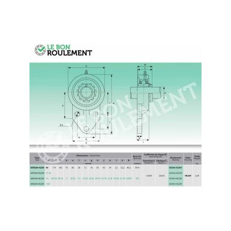 Palier fonte UKFB209+H2309