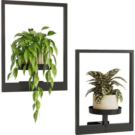 Lote de 2 macetas colgantes para plantas de interior, decoración de pared, soporte para plantas de salón (1/5)