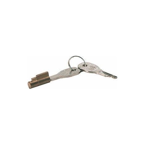 Antivol de tête d'attelage universel – Verrouillage par cylindre 6-7 mm – Sécurise attelage contre vol – Dimensions 22 x 11 mm – Winterhoff