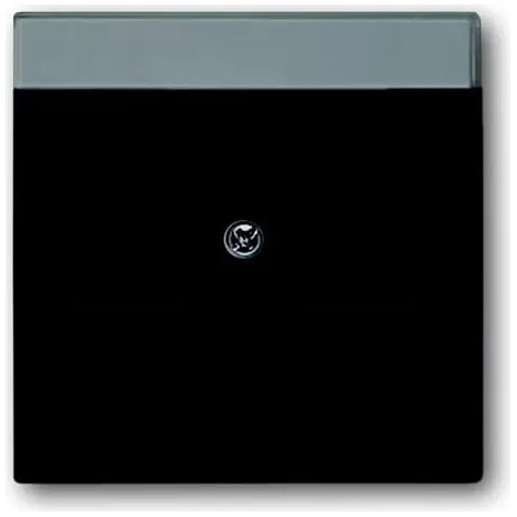 Abdeckplatte Busch-Jaeger 4011395127346 Kunststoff 11x11 cm (1/2)