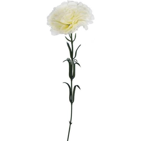 Einzelne weiße Nelke, 54 cm (1/3)