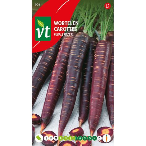 Carottes Purple Haze F1 - Ca. 1 gr (Livraison Gratuite)