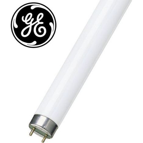 General Electric – Tube fluo CFL T8 36W blanc chaud 3000K – Culot 2G7 – Durée de vie 15000h – Finition dépolie
