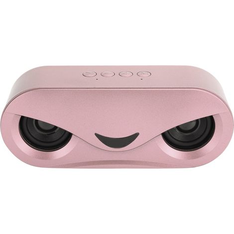 Enceinte double Bluetooth portable sans fil avec éclairage LED et basses stéréo pour U DiscPink (1/5)