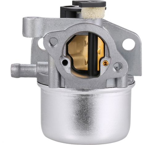 Carburateur pour Briggs & Stratton 799871 790845 799866 796707 794304