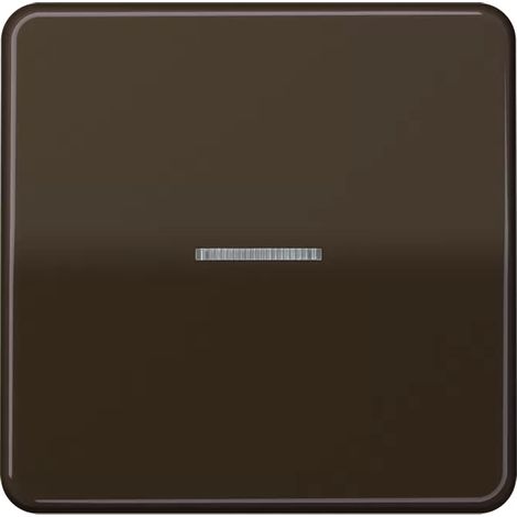 Jung Wippe Lichtleiter br Taster CD 590 KO5 (1/2)