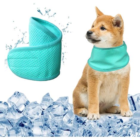 Collier Bandana Chien pour L'été, Bandana Chien Refroidissement, Collier Rafraîchissant pour Chiens, Écharpe Rafraîchissante pour Animaux de Compagnie de Taille Moyenne et Petite, M, Vert (1/5)