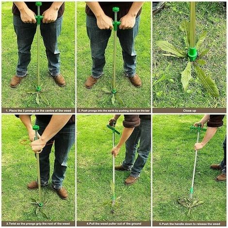 Rifilatore manuale per prato su supporto con manico lungo regolabile, attrezzo per rimuovere le radici delle erbacce, per giardino e prato. (1/5)