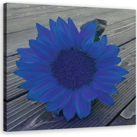 Quadro su tela, Girasole blu - 30x30 (1/4)