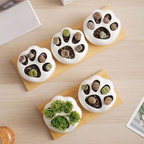 Set aus drei flachen Modellen mit kleinen Bambusgestellen und Tischplatten