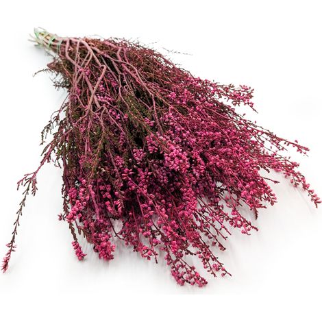 Brezo estabilizado (Erica) - Rosa
