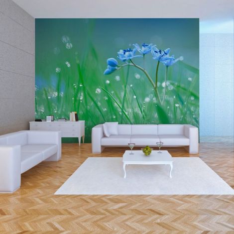 Papier peint prairie dans la lumière du matin - 300 x 230 cm (1/4)