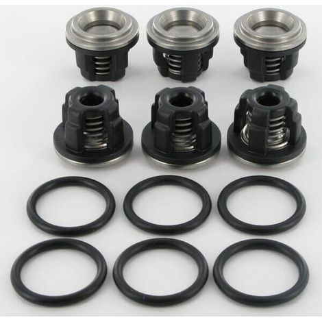 Kit valvole AR703/813 ANNOVI REVERBERI AR1963
