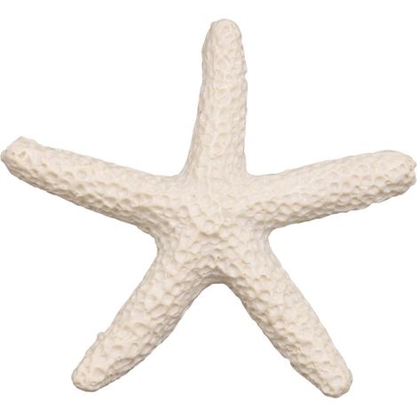 15 étoiles de mer blanches crémeuses en forme de crayon pour la décoration de mariage (1/5)