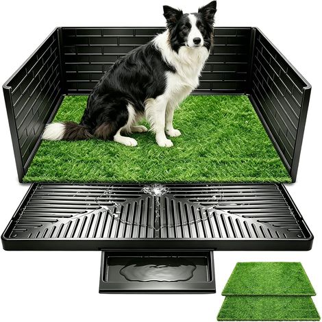Dog potty with three-sided splash guard (1/5)
