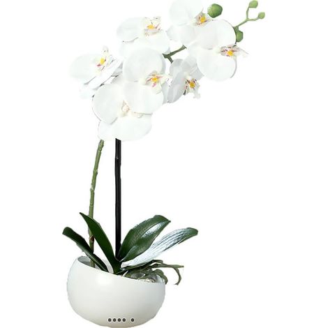 Orchidée factice 1 hampe coupe céramique H40cm touché réel Blanc neige - couleur: Blanc neige