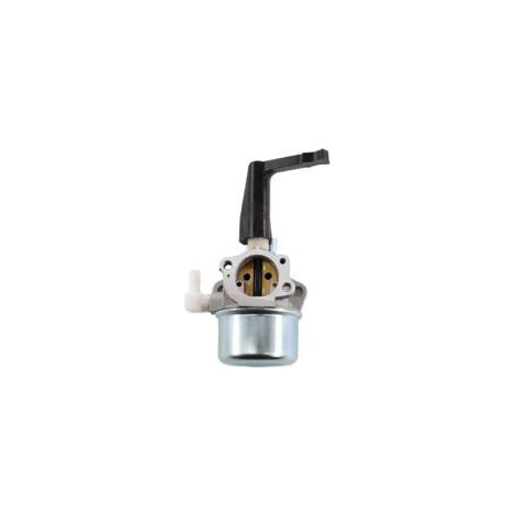 Carburateur avec joint de filtre à carburant et bougie d'allumage pour moteur Briggs & Stratton 696065 697422 110412 110402 215369
