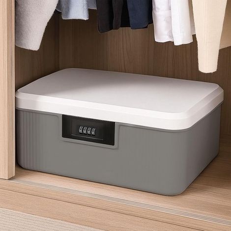 Caja fuerte con cerradura de combinación - 2 capas - 26 x 22 x 12 cm - Gris (1/5)