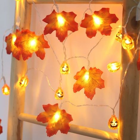 Lumière LED en guirlande d'Halloween Lumière citrouille 3 3 3 - couleur,taille (1/5)