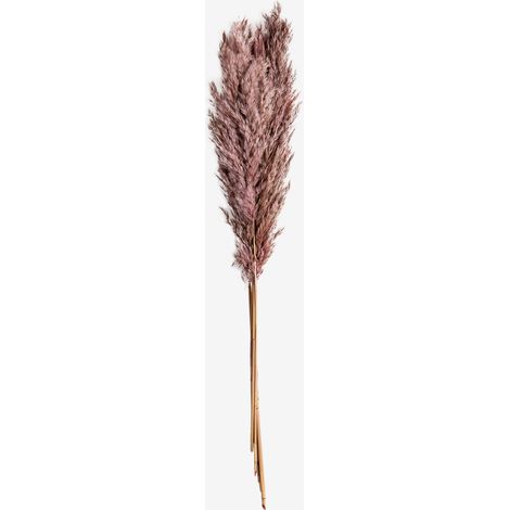 SKLUM 5 Stück Dagrai Deko-Trockenzweige Blass Lila-Rosa                                  